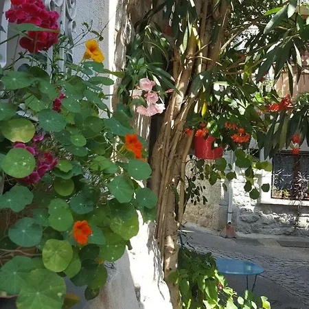 La Maison Bleue *